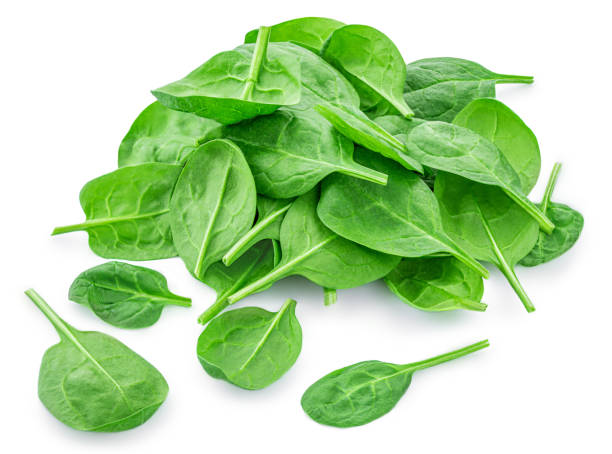 istock Spinach leaves isolated on white background. Various Spinach leaf Macro. Top view. Flat lay.