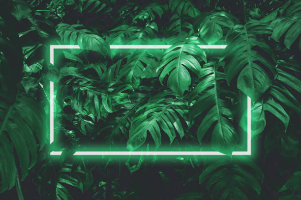 istock Illustration of a large dark green leaf with soft neon light, a rectangular green water led frame light For natural backgrounds 1327098394