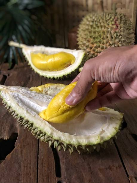 istock Durian Black Thorn - Durian Duri Hitam 1327098784