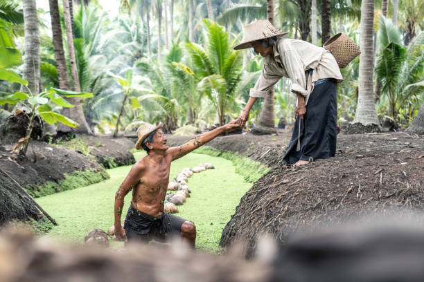 Asian loving romantic senior elder couple farmer work in coconut farm. Older grandmother farmer smiling, picking up husband from canal after work and watering tree in garden. Agriculture of old couple asiático amoroso romántico senior pareja de ancianos granjeros trabajan en la granja de coco. la abuela mayor agricultora sonriendo, recogiendo al marido del canal después del trabajo y regando el árbol en el jardín. agricultura de la vieja pareja