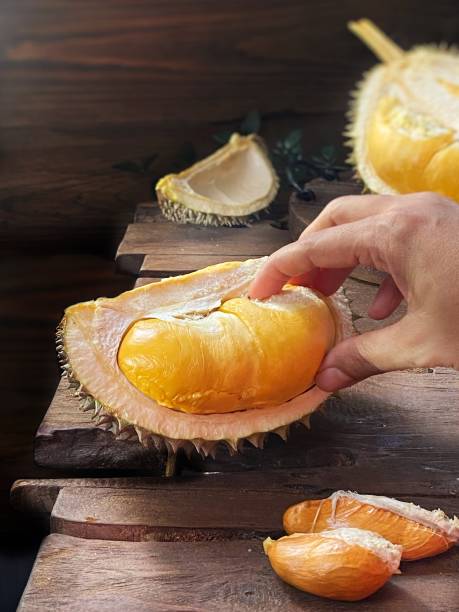 istock Durian Black Thorn - Durian Duri Hitam 1327098989