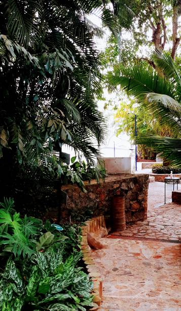 istock Tropical plants and jungle 1327099871
