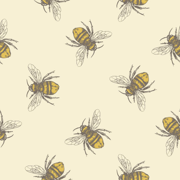 Vector seamless pattern with honey bees. Engraving style. Botanical illustration bee patterns stock illustrations