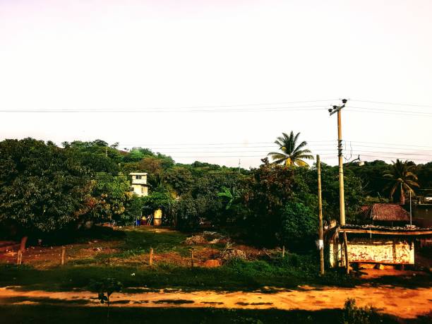 istock Tropical plants and jungle 1327102137