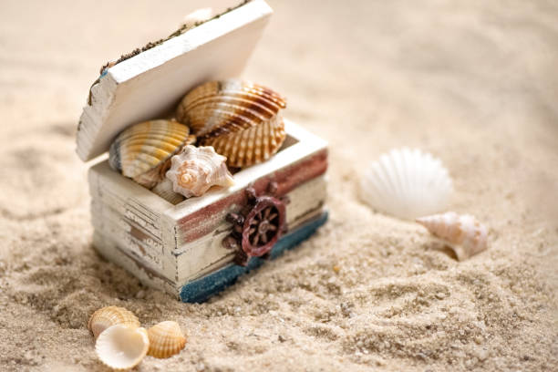Chest filled with sea shells on sandy beach