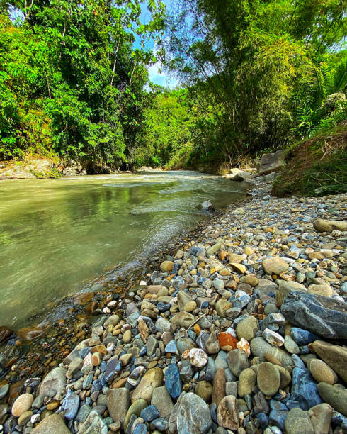 istock Rocky Stream in Tambunan, Sabah 1327105558