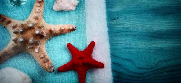 istock picture of starfish on a board 1327106427