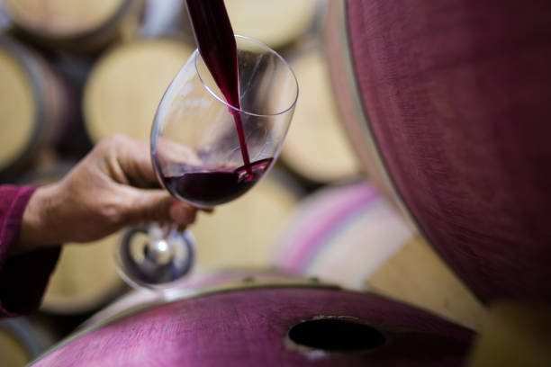 image en gros plan d’un échantillon de vin collecté par un vigneron dans une cave avec de vieux fûts de vin en chêne - winemaking photos et images de collection