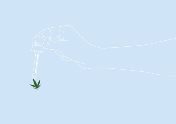 Cannabis as alternative healthcare. CBD Cannabis leaves for health pistil stock illustrations