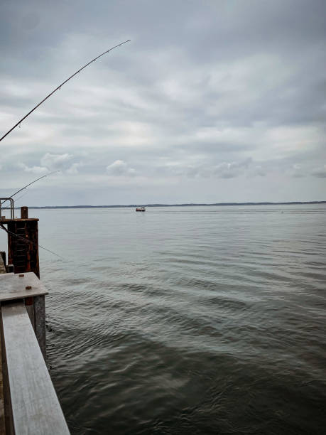 istock Fishing in the sea in Arcachon 1327112687