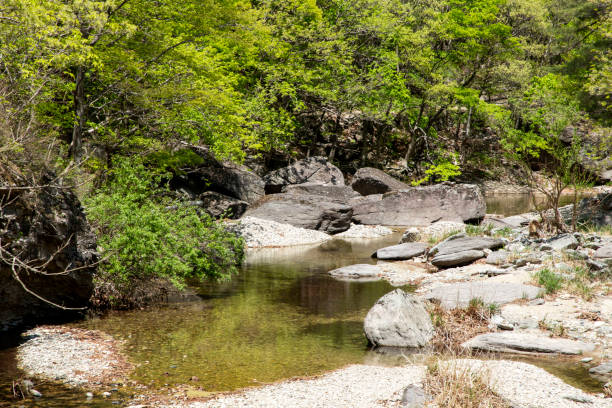 istock Mt. Juwangsan in Kyungsangbukdo 1327113418