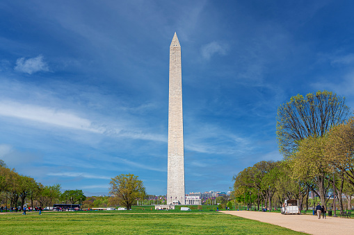 Washington Monument on the Spring Morning with Blue Sky and Clouds, Washington DC, USA. Vivid Green Grass of the Mall, Trees, Park Police Horse, American flags and Lincoln Memorial in background are in the image. Canon EF 24-105mm/4L IS USM Lens.