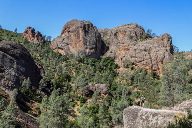 istock Hiker overlooking Pinnacles National Park 1327118087