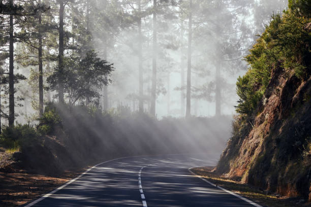 istock Road in mysterious fog 1327122669