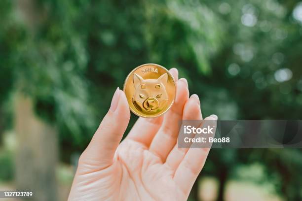 Bidikan Closeup Wanita Memegang Token Shiba Foto Stok - Unduh Gambar Sekarang - Dogecoin, Mata Uang Kripto, Orang - Manusia