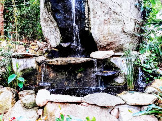 istock Jungle botanical garden with pond and waterfall 1327129749