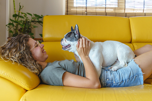 Woman dog lover with bulldog at home on the couch.