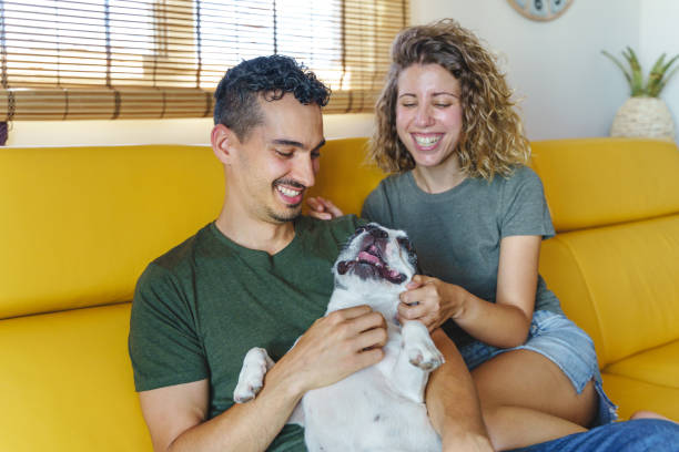 istock Happy couple playing with dog at home. 1327130664