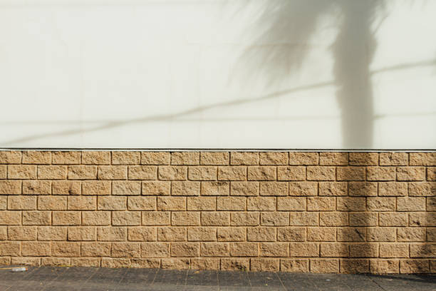 White wall with slabs and shade of a palm tree