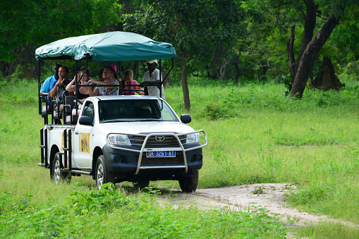 Fatick region, Senegal: Toyota 4x4 Pick-up with group of tourists visiting the Fathala reserve, Saloum Delta National Park - biosphere reserve - World Heritage site.