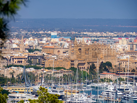 Palma de Mallorca, Spain - June 2021: View of the Palma de Mallorca port with the cathedral in the background. Majorca harbor with sailing boats and yachts, Palma city cathedral landmark.