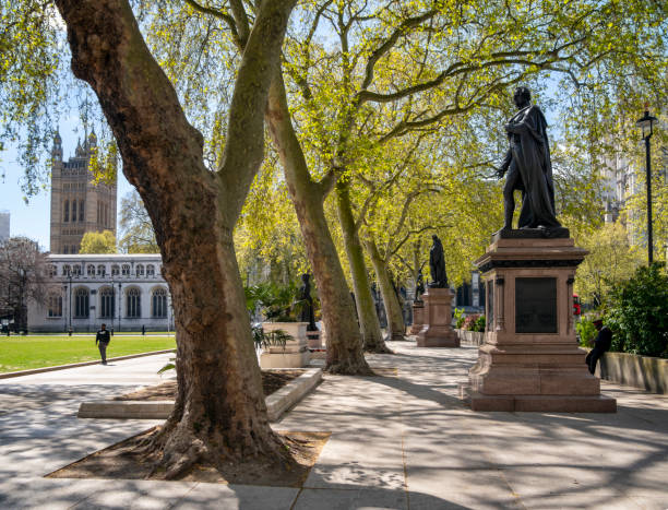 статуи на парламентской площади, вестминстер - victoria tower стоковые фото и изображения