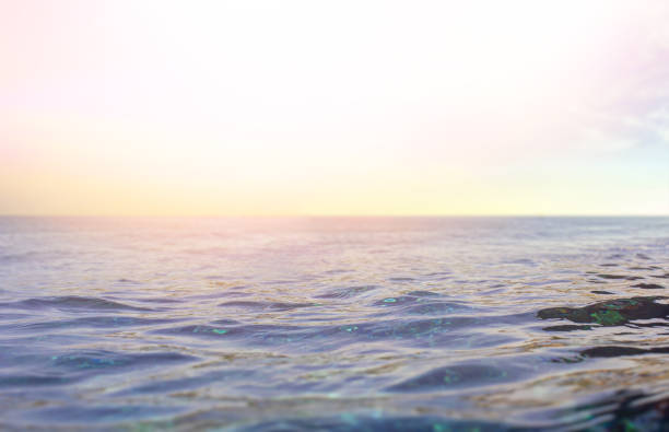 istock Sea and sky with sunlight. Background with unfocus bokeh. Sunset on the ocean. 1327140339