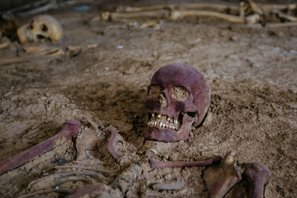 istock Old human skeleton in ancient tomb at archaeological excavation 1327141251