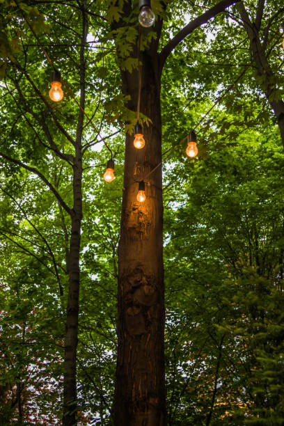 istock Blurred background, backyard illumination, light in the day garden, electric lanterns with round diffuser. Lamp garland of light bulbs on a tree branch among the leaves, illuminate day scene. 1327146317