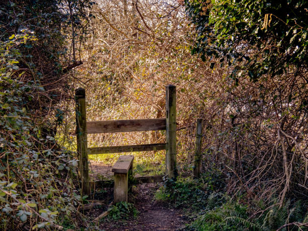 istock Traditional wooden Stile in Devon country lane. 1327146524