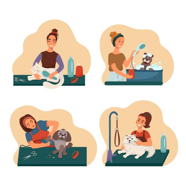 Grooming pet set, groomers wash groomed dogs and cats, vector collection of illustrations in flat style. Grooming pet set, groomers wash groomed dogs and cats, vector collection of illustrations in flat style. pet grooming salon stock illustrations