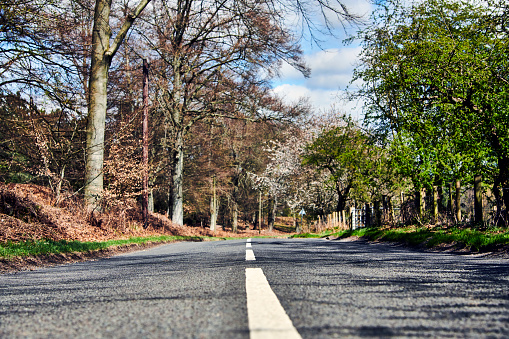 Empty road in South Woodford through Epping Forest. March 2024