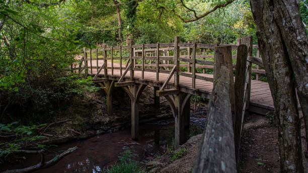 pooh bridge ubicado en los bosques de cien acres en las historias de aa milne de christopher robin y winnie the pooh. - winnie the pooh fotografías e imágenes de stock