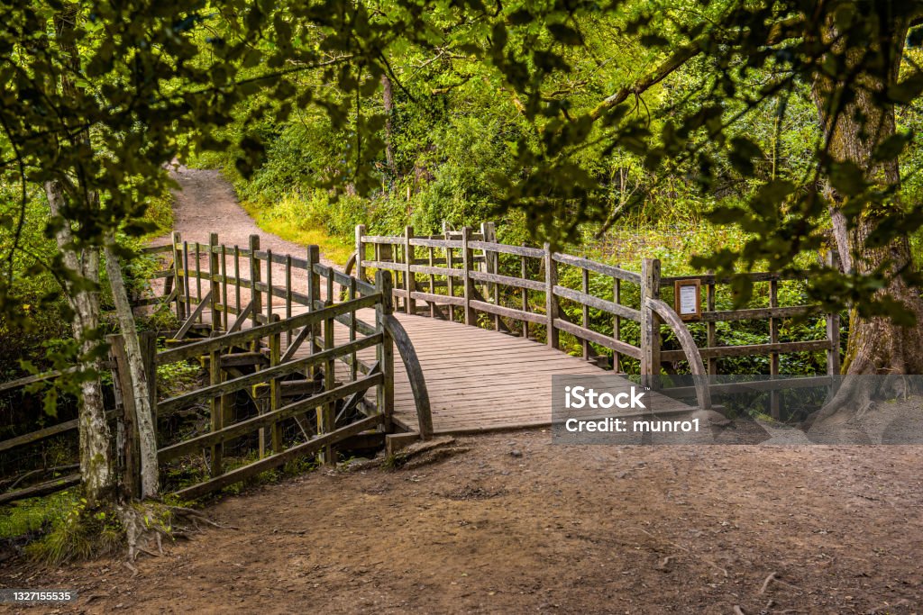 Pooh Bridge located in the One Hundred Acre woods in the stories by AA Milne of Christopher Robin and Winnie the Pooh . Pooh Sticks bridge were Pooh sticks originated located in the One Hundred Acre wood in Ashdown Forest near Hartfield. Ashdown Forest Stock Photo