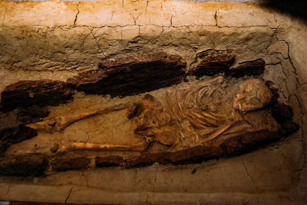 istock Old human skeleton in ancient tomb at archaeological excavation 1327155953