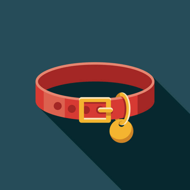 Pet Collar Icon A flat design pet collar icon with long side shadow. File is built in the CMYK color space for optimal printing. Color swatches are global so it’s easy to change colors across the document. collar stock illustrations