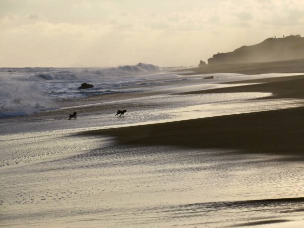 istock The Golden Pacific Beach 1327161442