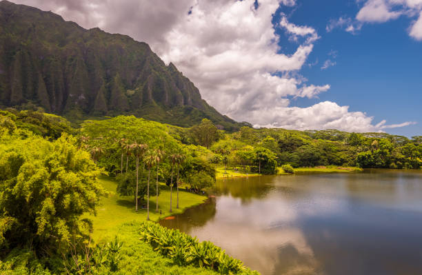istock Ho'omaluhia Botanical Garden, Oahu, Hawaii 1327164338