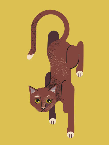 Shy Cat Illustrations, Royalty-Free Vector Graphics & Clip Art - iStock