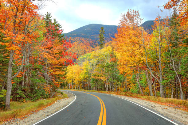 istock Grafton Notch State Park in Maine 1327165602
