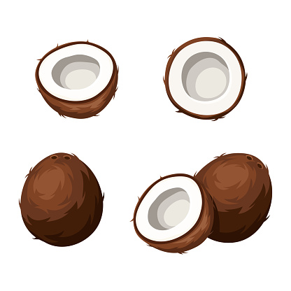 Vector set of coconuts isolated on a white background.