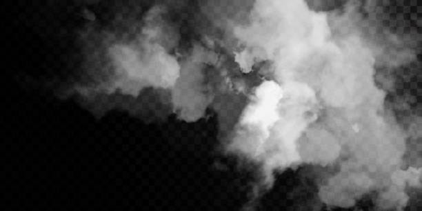 bildbanksillustrationer, clip art samt tecknat material och ikoner med vector realistic isolated smoke effect for decoration and covering on the transparent background - rök