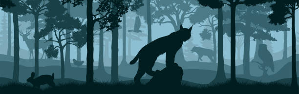 illustrazioni stock, clip art, cartoni animati e icone di tendenza di vector forest woodland sfondo trama senza soluzione di continuità modello con lince, lupo, coniglio, cervo, aquila e eagleowl - great smoky mountains illustrations