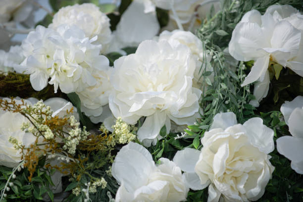 istock White roses still life close up 1327174861