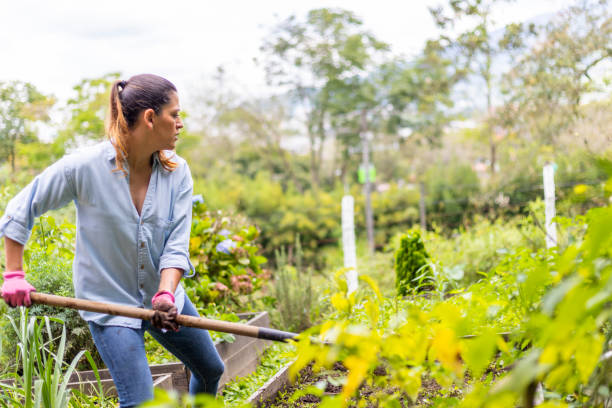 istock woman working in her vegetable garden with a shovel 1327177777