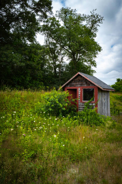 istock Forest landscape with weathered shed on the green hill 1327177788