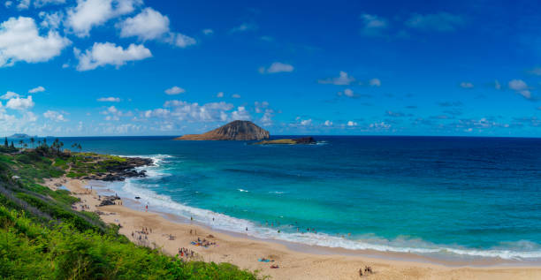 istock Panorama view of Makapu Beach in Hawaii 1327179400