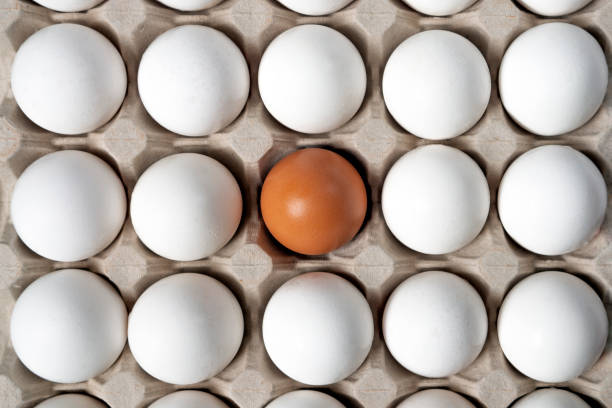 istock Tray with white eggs and one brown egg. Top view 1327181057