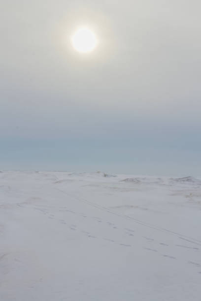 istock Frozen lake covered by snow like white desert 1327192797