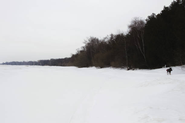 istock Frozen lake covered by snow like white desert 1327192818